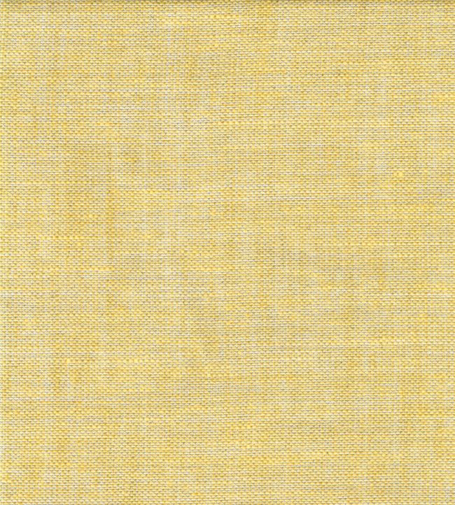 Plain Linen Fabric by Fermoie Old Guilding