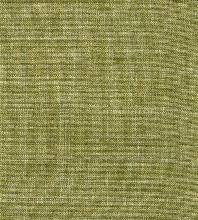 Plain Linen Fabric by Fermoie Goose Green