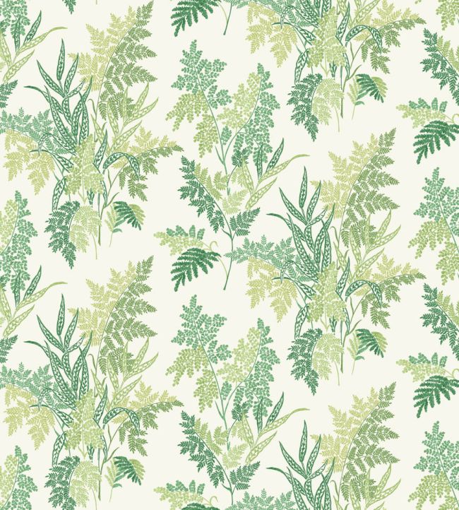 Fern Craze Fabric by Nina Campbell Green/Lime