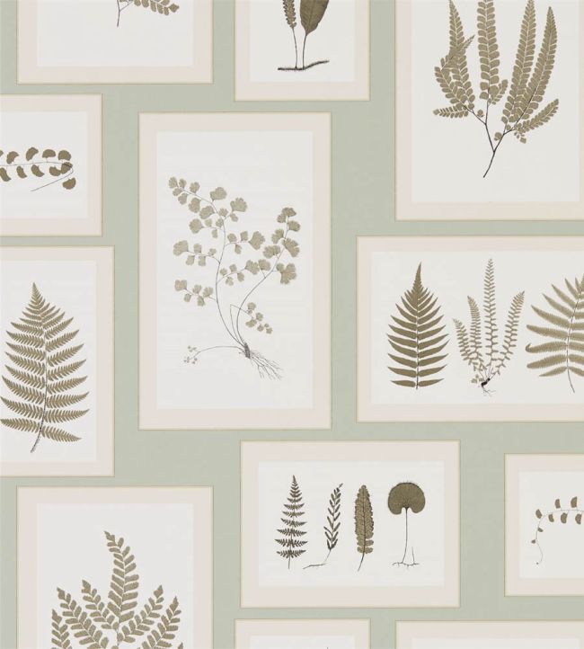 Fern Gallery Wallpaper by Sanderson Blue/Sepia