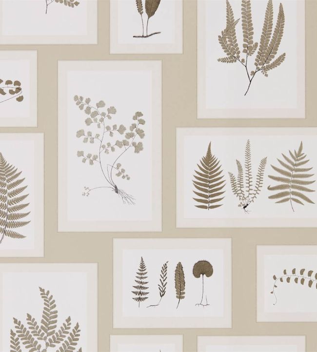 Fern Gallery Wallpaper by Sanderson Linen/Sepia