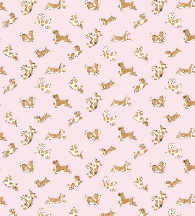 Fete De Chien Wallpaper by Scalamandre Ballerina Pink And Honey