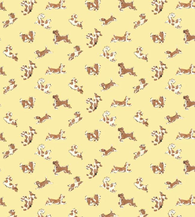 Fete De Chien Wallpaper by Scalamandre Lemon And Siena