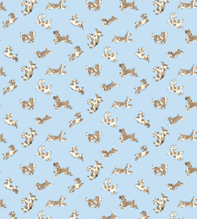 Fete De Chien Wallpaper by Scalamandre Light Blue And Suede