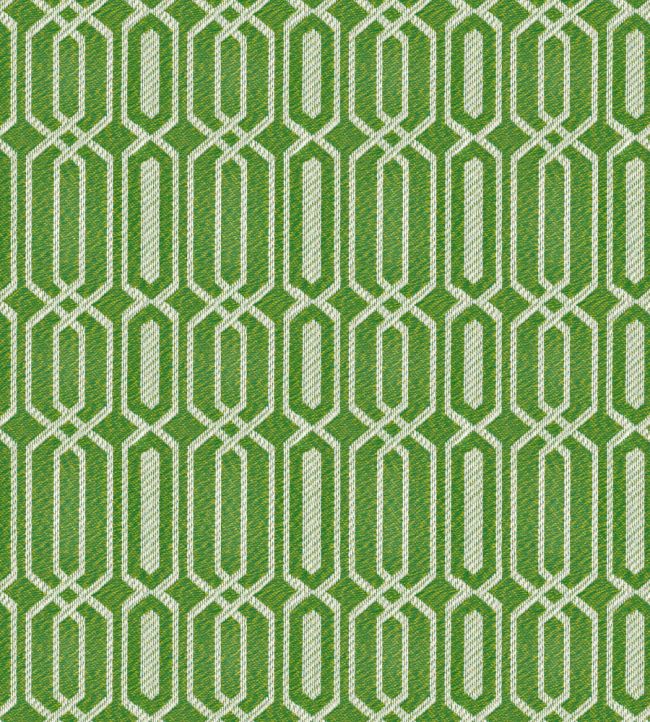 Fiesta Fabric by Warwick Applesour