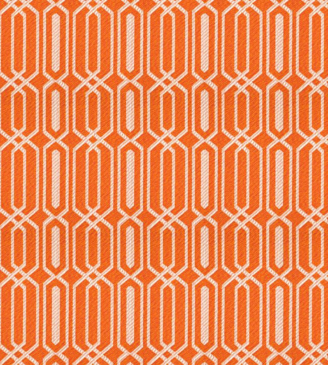 Fiesta Fabric by Warwick Popsicle