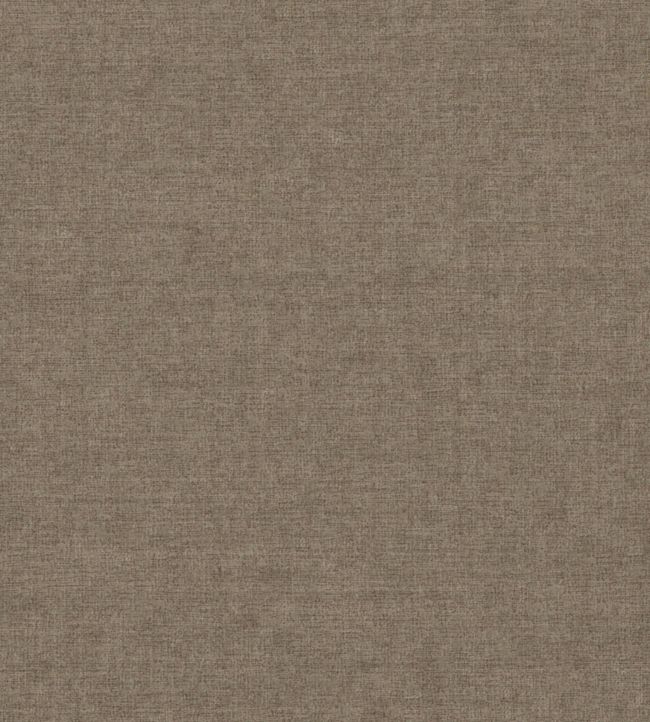Fiora II Fabric by Wemyss Driftwood