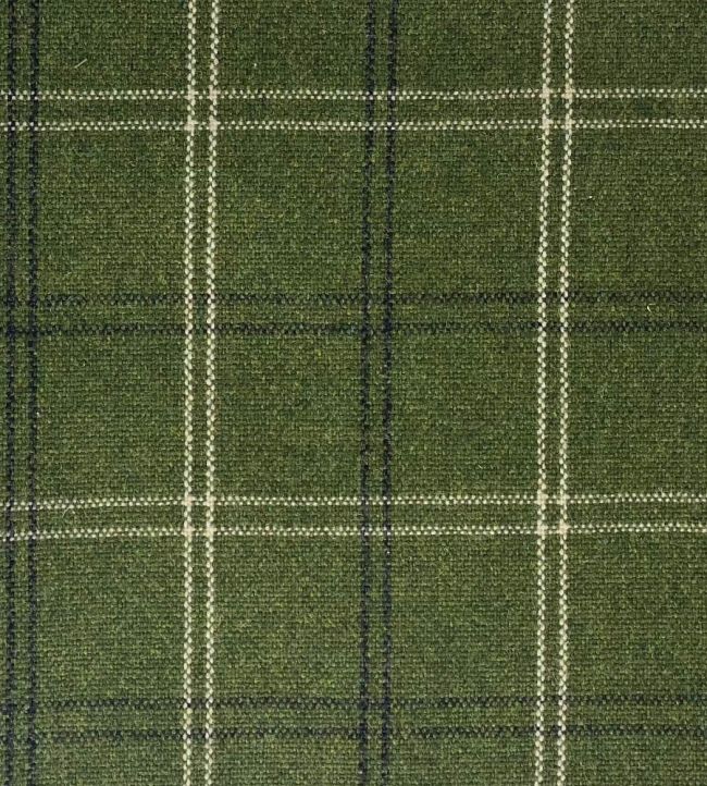 Firth Fabric by The Isle Mill Moss
