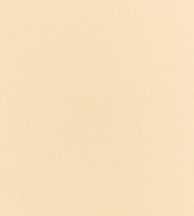 Flax Fabric by Kirkby Design Butter