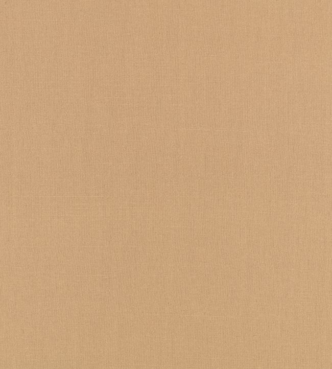 Flax Fabric by Kirkby Design Desert