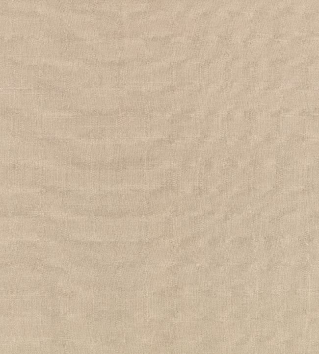 Flax Fabric by Kirkby Design Silver Grey