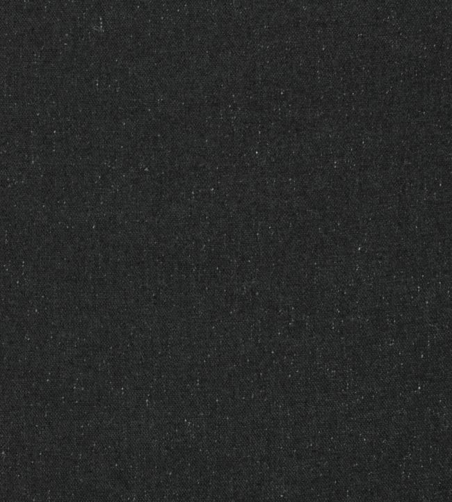 Fleck Eco Fabric by Kirkby Design Ebony