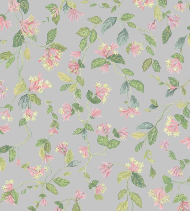 Flora Wallpaper by Cole & Son Rose & Olive on Grey