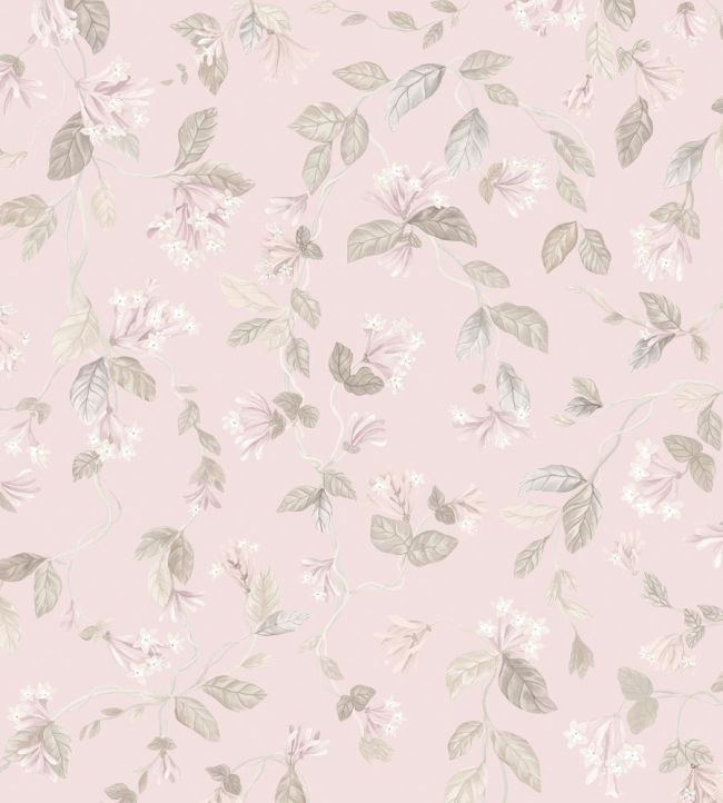 Flora Wallpaper by Cole & Son Stone on Rose Quartz