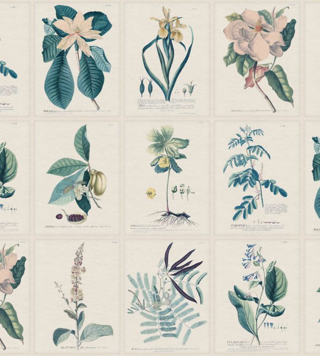 Flora Wallpaper by Sandberg Blue