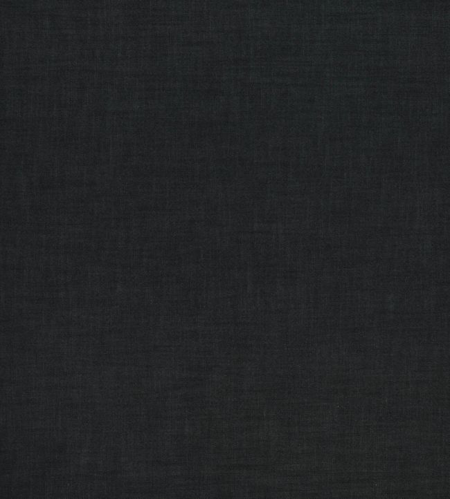 Florenzo Fabric by Ashley Wilde Charcoal