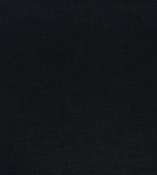 Florenzo Fabric by Ashley Wilde Ebony