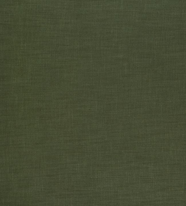 Florenzo Fabric by Ashley Wilde Forest