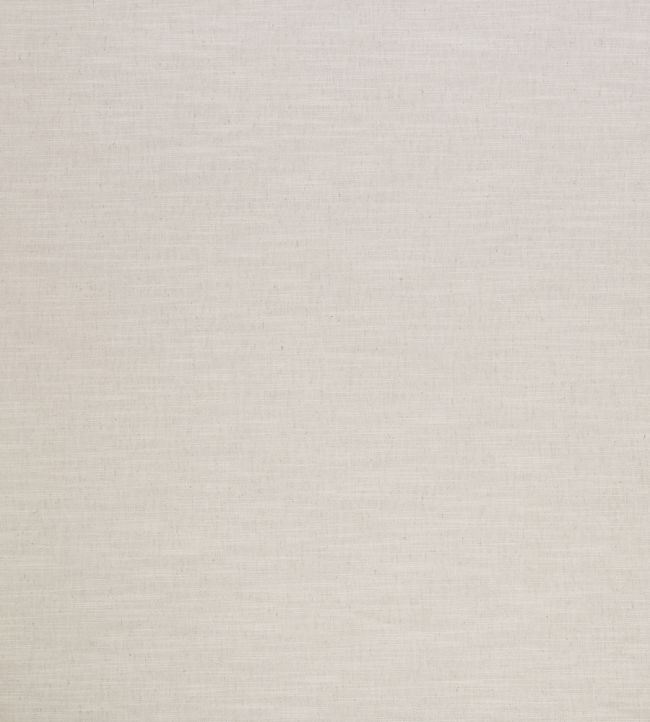 Florenzo Fabric by Ashley Wilde Ivory