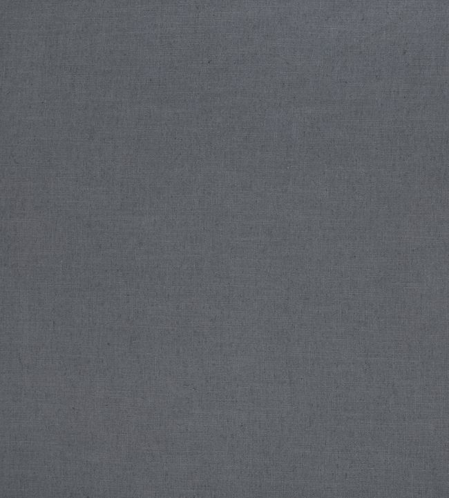 Florenzo Fabric by Ashley Wilde Platinum