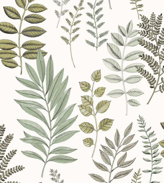 Florium Wallpaper by Caselio Vert D'eau