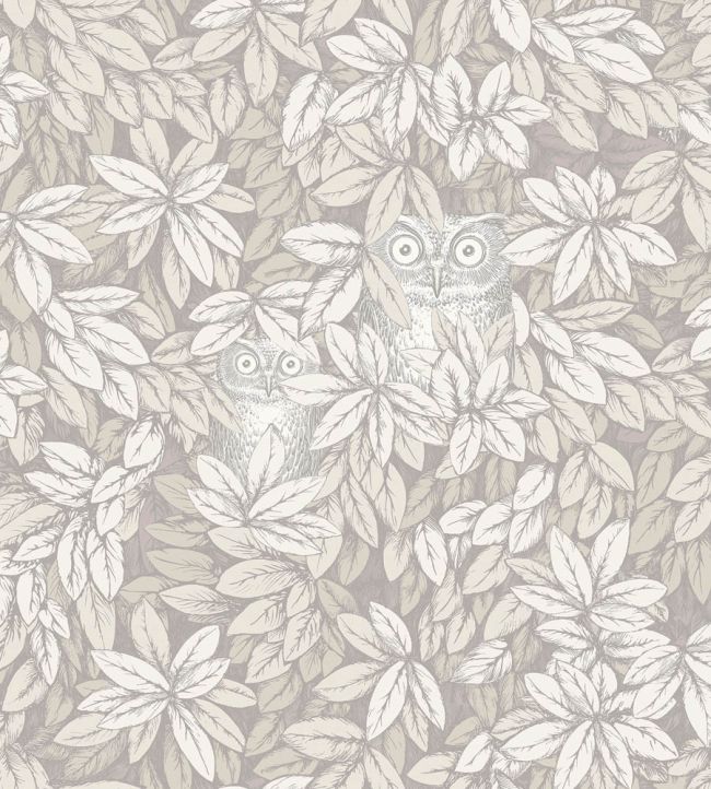 Foglie e Civette Wallpaper by Cole & Son White