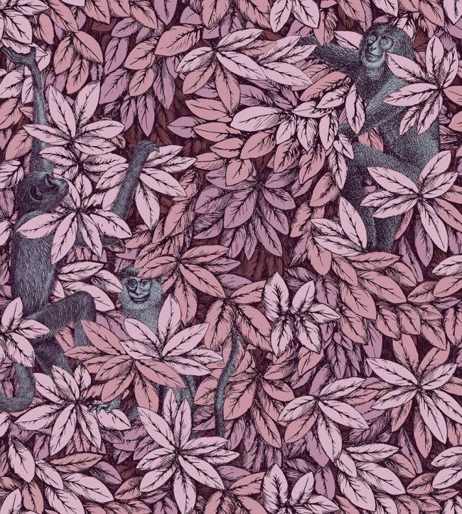 Foglie e Scimmie Wallpaper by Cole & Son Blush with Blue