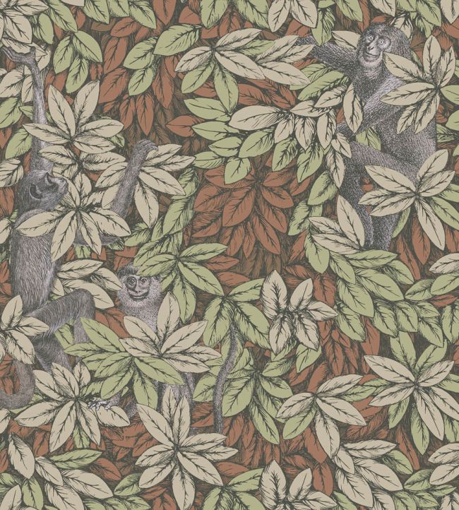 Foglie e Scimmie Wallpaper by Cole & Son Olive & Orange