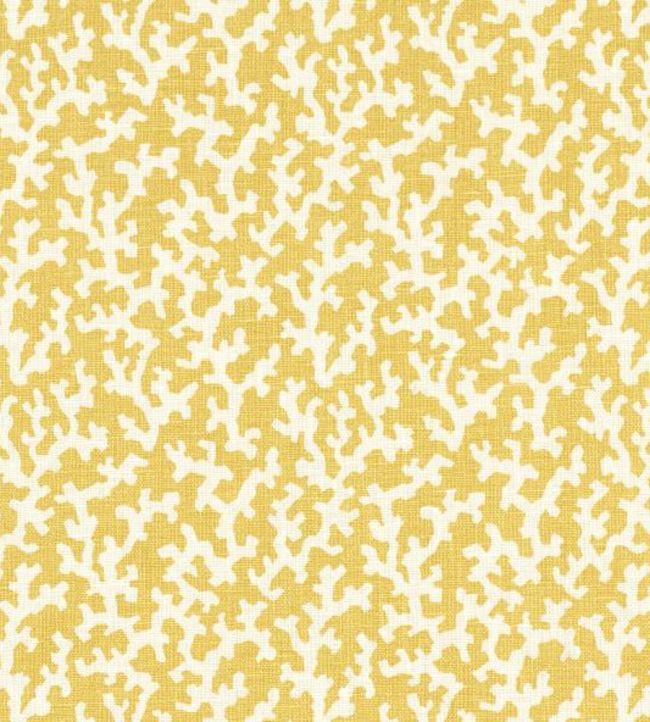 Folly Fabric by Schumacher Mimosa