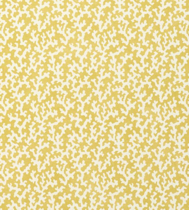 Folly Wallpaper by Schumacher Mimosa