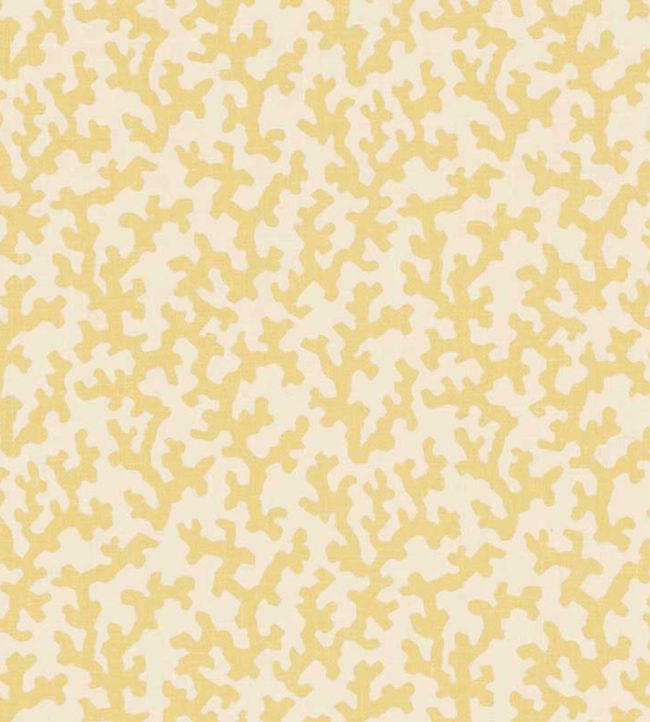 Folly Fabric by Schumacher Straw