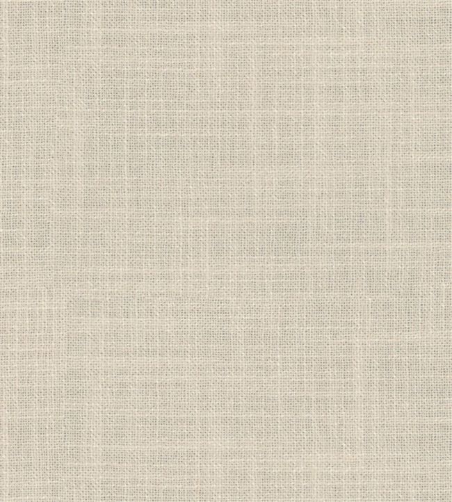 Fontana Fabric by Designers Guild Driftwood
