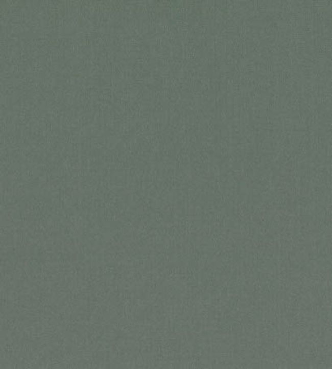 Forenza Fabric by Romo Agave