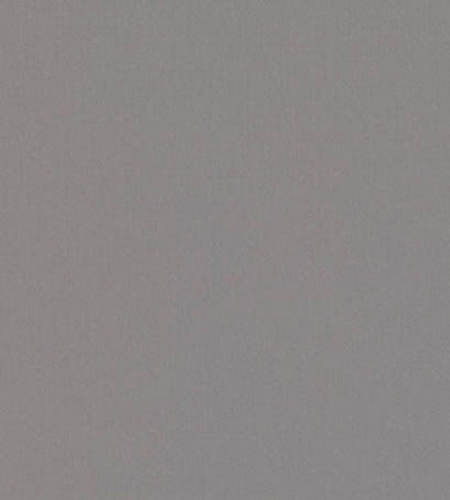 Forenza Fabric by Romo Andesite