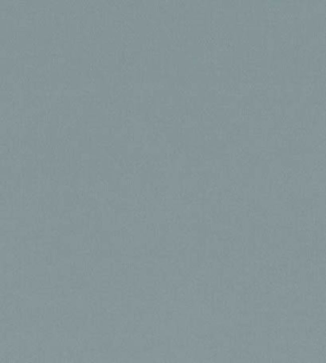 Forenza Fabric by Romo Atlantic