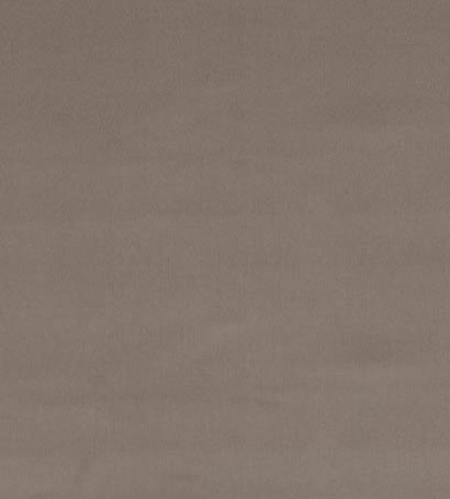 Forenza Fabric by Romo Chamois