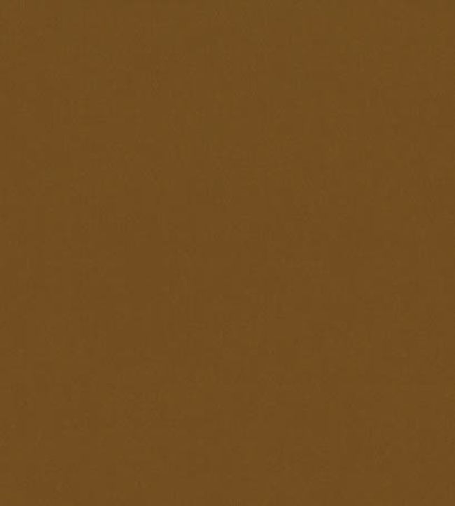Forenza Fabric by Romo Cinnamon