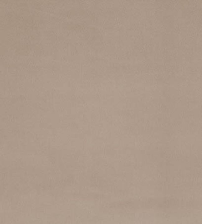 Forenza Fabric by Romo Clay