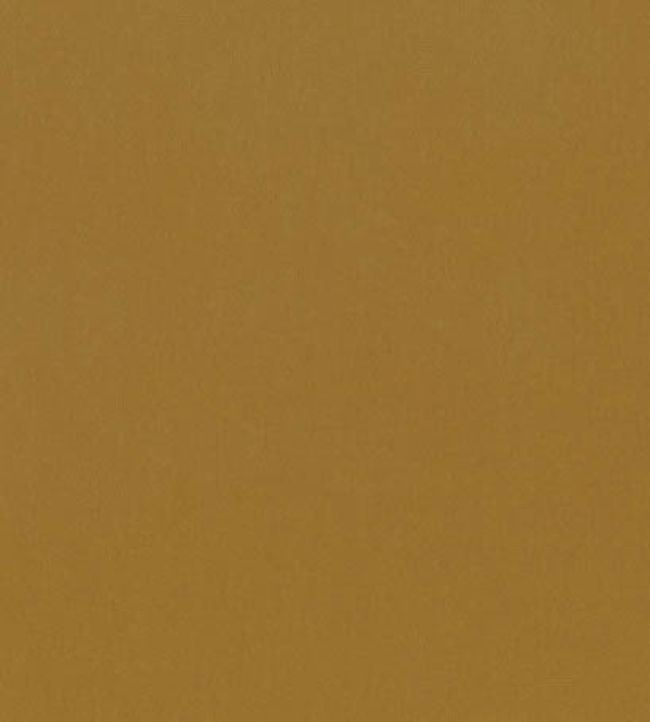 Forenza Fabric by Romo Cumin