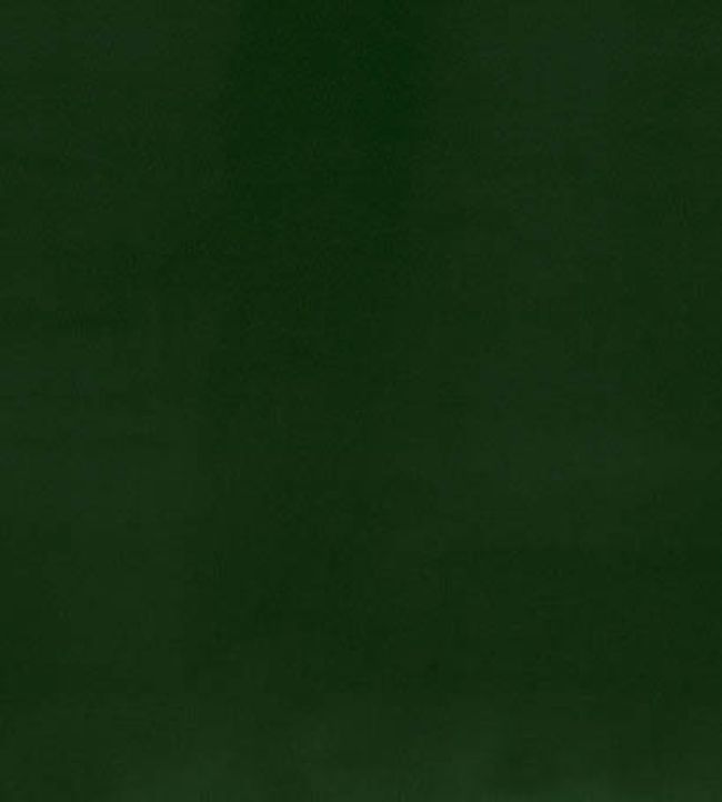 Forenza Fabric by Romo Forest