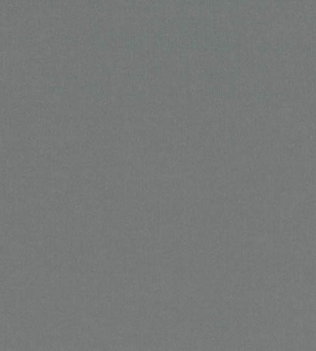 Forenza Fabric by Romo French Grey