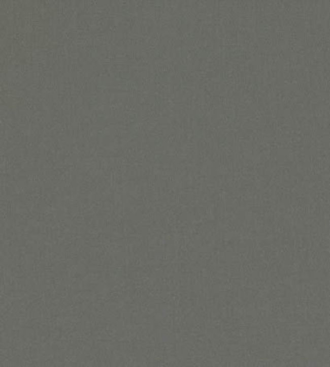 Forenza Fabric by Romo Granite