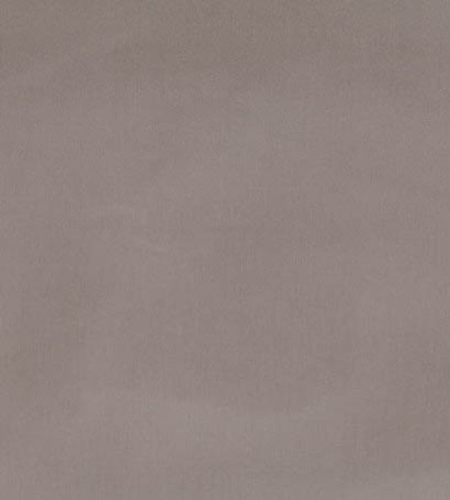 Forenza Fabric by Romo Husk