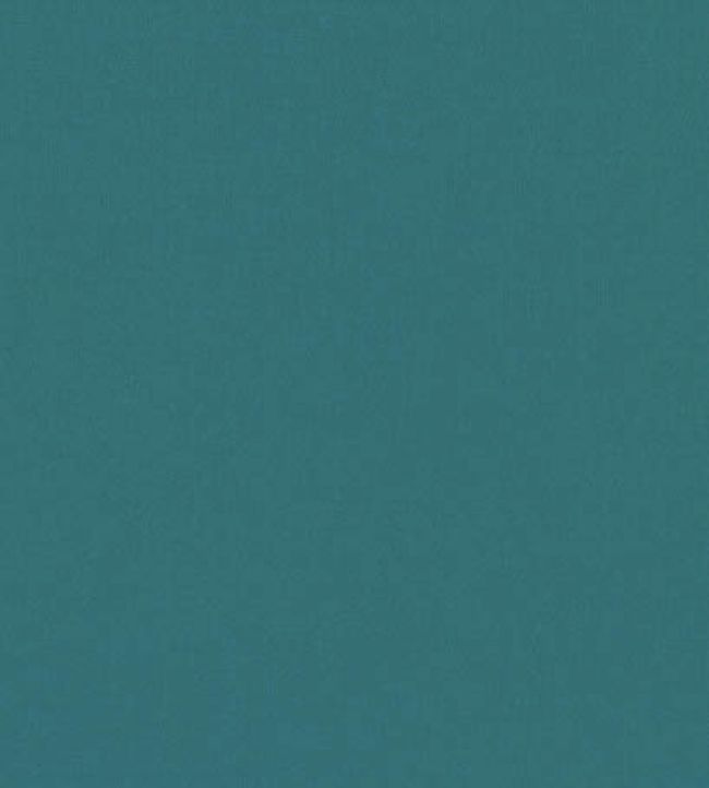 Forenza Fabric by Romo Kingfisher