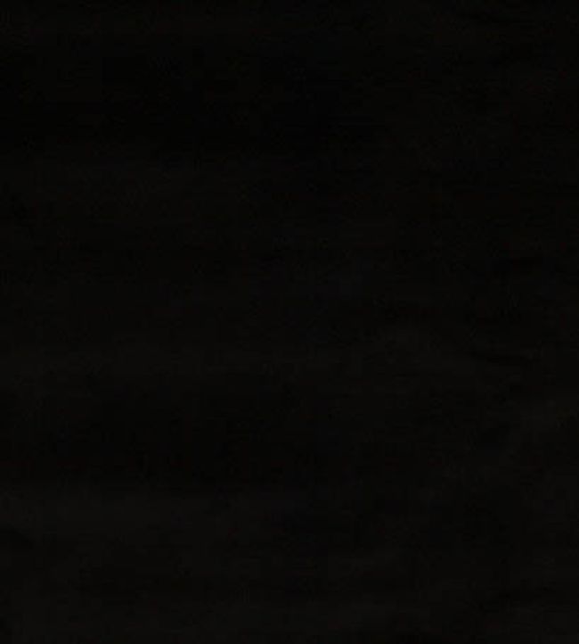 Forenza Fabric by Romo Liquorice
