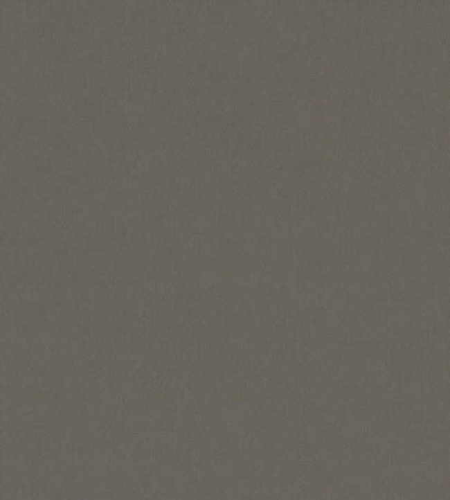 Forenza Fabric by Romo Loam
