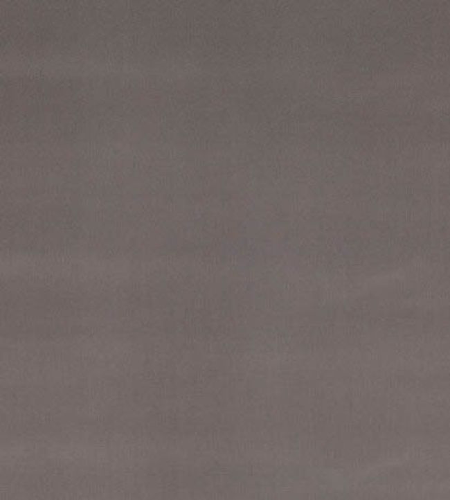 Forenza Fabric by Romo Magnesium