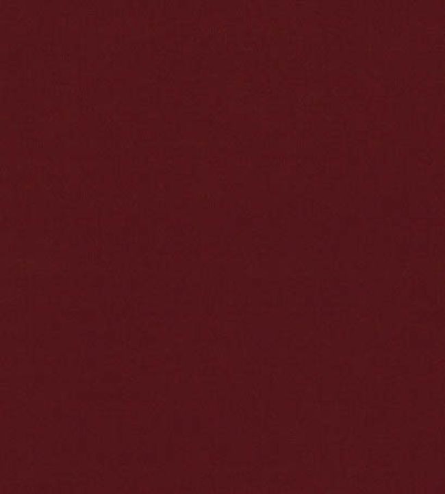 Forenza Fabric by Romo Maple