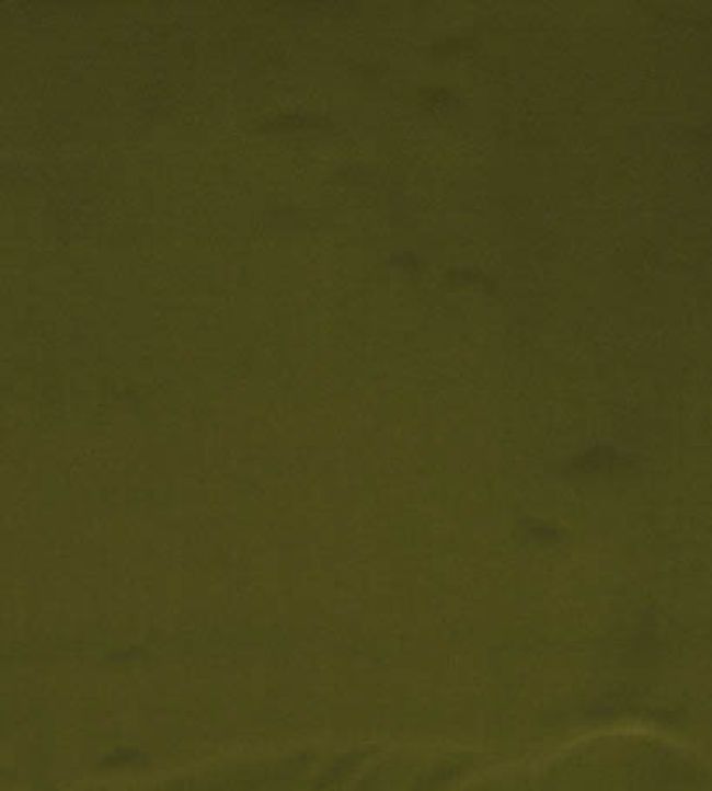Forenza Fabric by Romo Marjoram