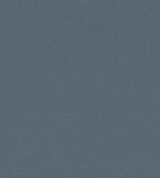 Forenza Fabric by Romo Monsoon
